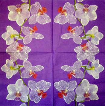 080 Orchideen - 3-lagig (pink) - ti-flair